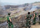 Kebakaran Lahan Perhutani di Desa Karyamukti Berhasil Dipadamkan